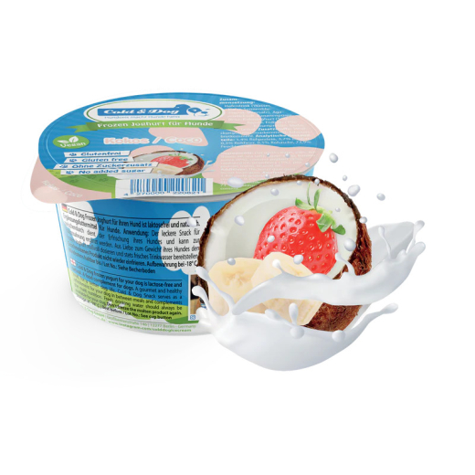 Frozen Joghurt Kokos  90 ml